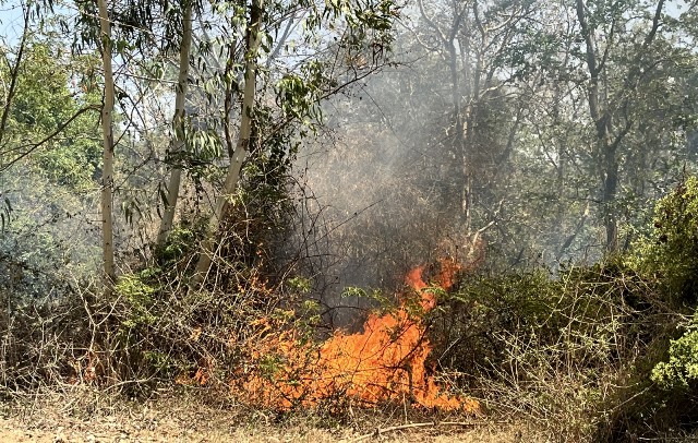 The terrible fire that broke out in the village of Lalwan and Khanni's forest created havoc